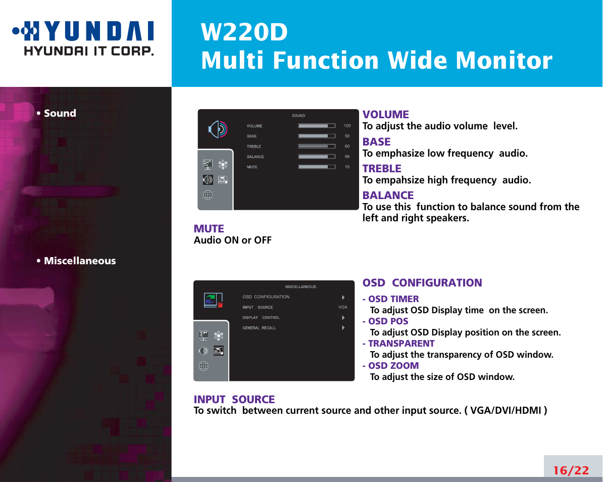 W220d multi function wide monitor | Hyundai W220D User Manual | Page 20 / 26