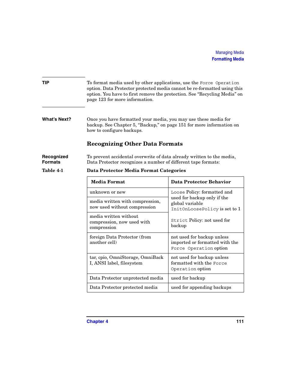 Recognizing other data formats | HP B6960-90078 User Manual | Page 141 / 856