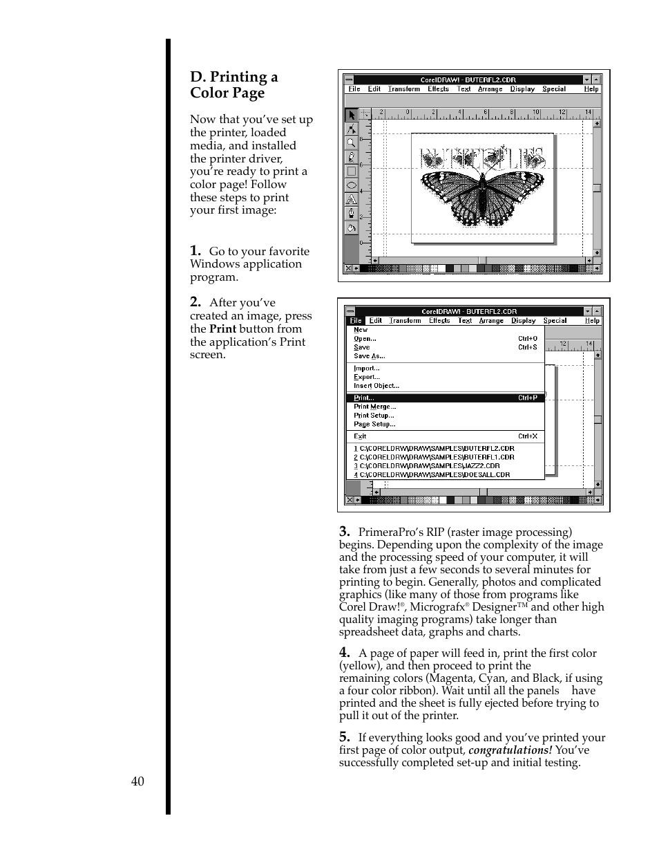 D. printing a color page | FARGO electronic 76503 User Manual | Page 42 / 95