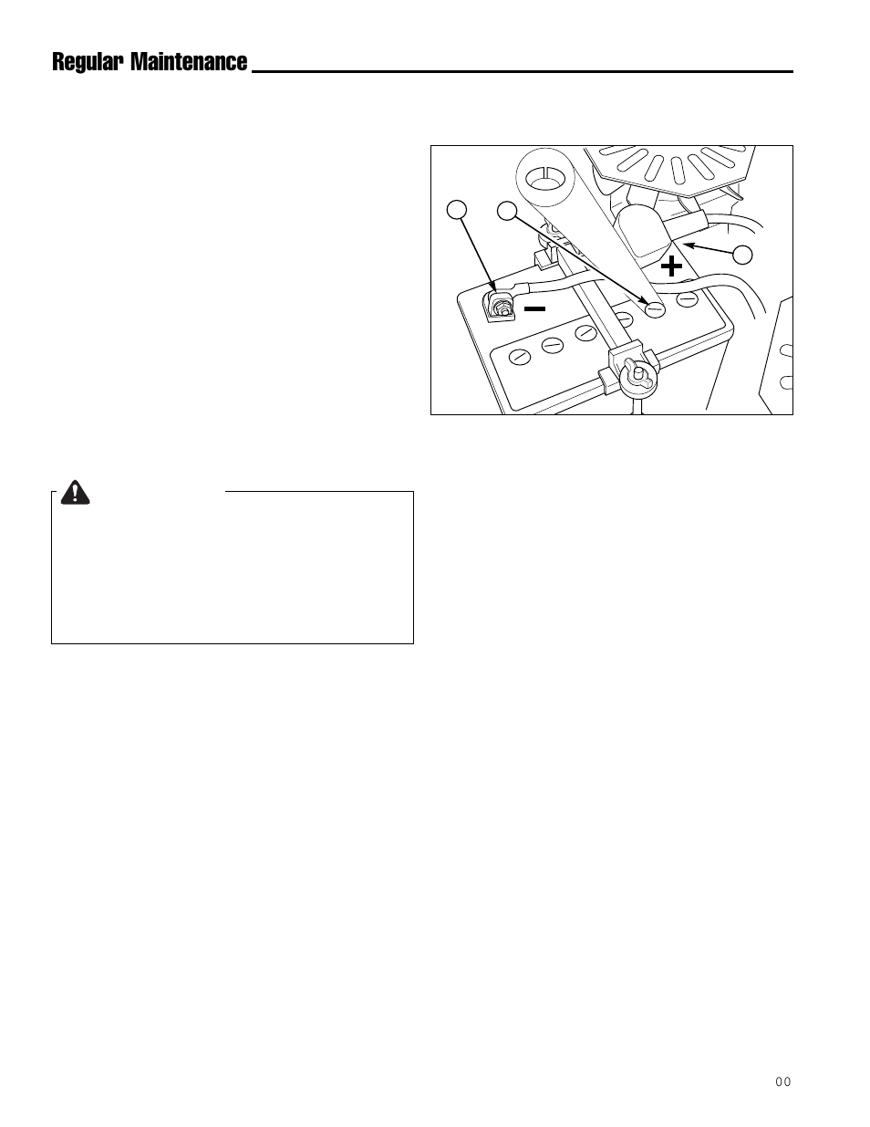 Regular maintenance, Warning, Battery maintenance | Ferris Industries IS1000ZKAV21/48 User Manual | Page 22 / 43
