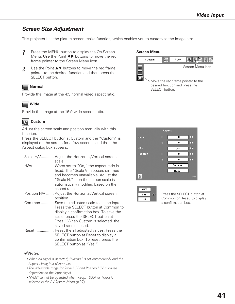 Screen size adjustment, Video input | Fisher PLC-XU100 User Manual | Page 41 / 66