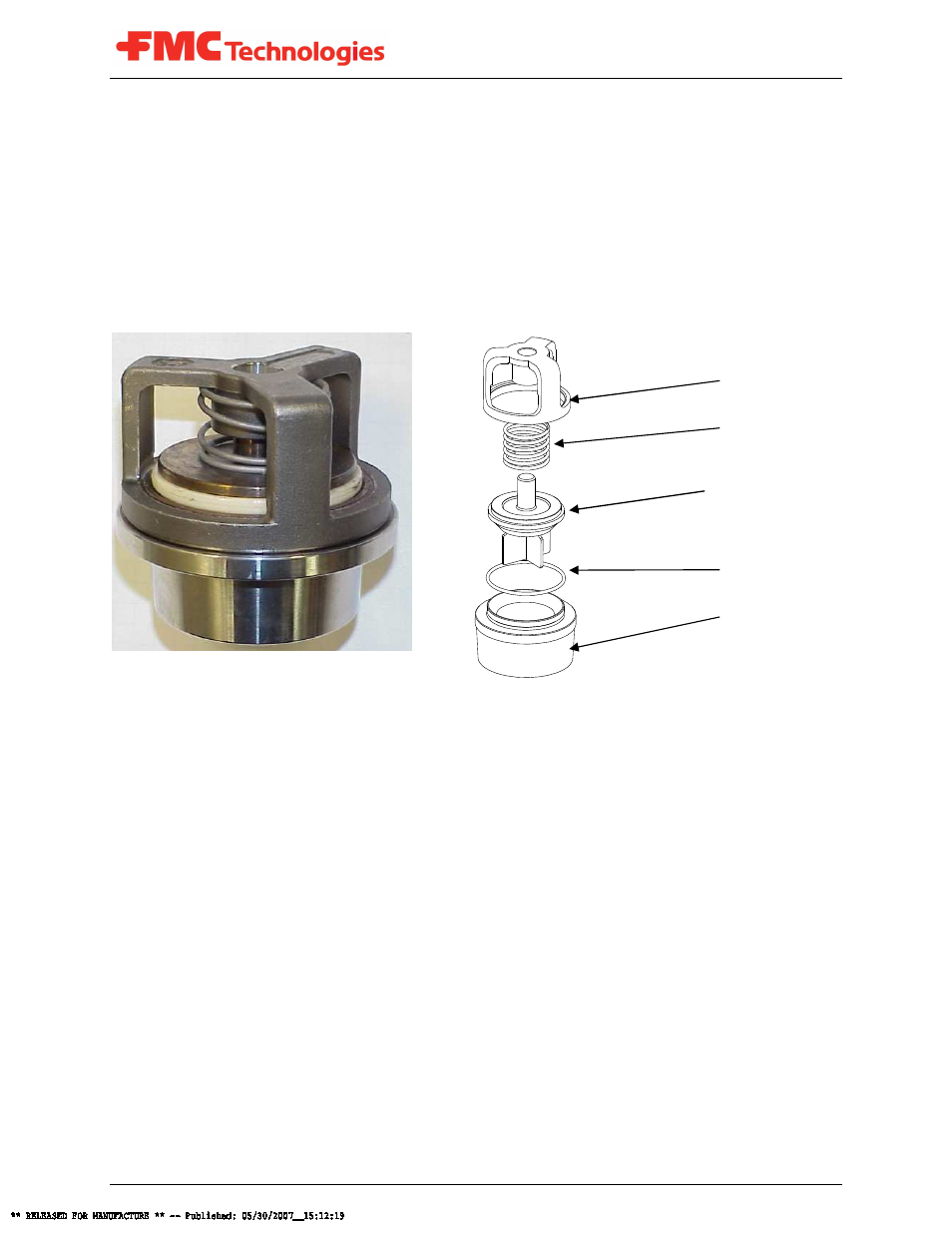 1 replacing ar valves, 1 introduction, Figure 5: ar valve assembly | FMC Corporation - Talstar FMC L06 User Manual | Page 31 / 65
