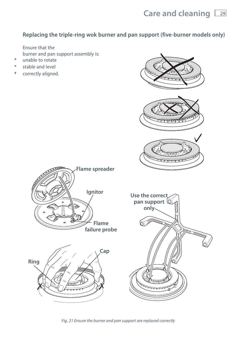 Care and cleaning | Fisher & Paykel CG755 User Manual | Page 31 / 36