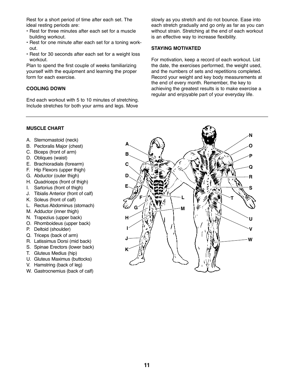 Gold's Gym XR25 GGBE24320 User Manual | Page 11 / 16