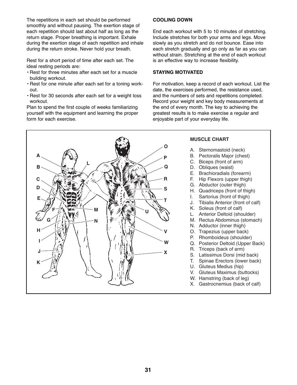 Gold's Gym GGSY3066.1 User Manual | Page 31 / 36