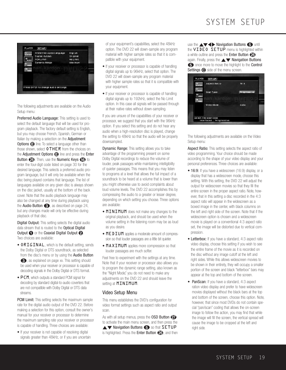 System setup | Go-Video DVD 22 User Manual | Page 19 / 32