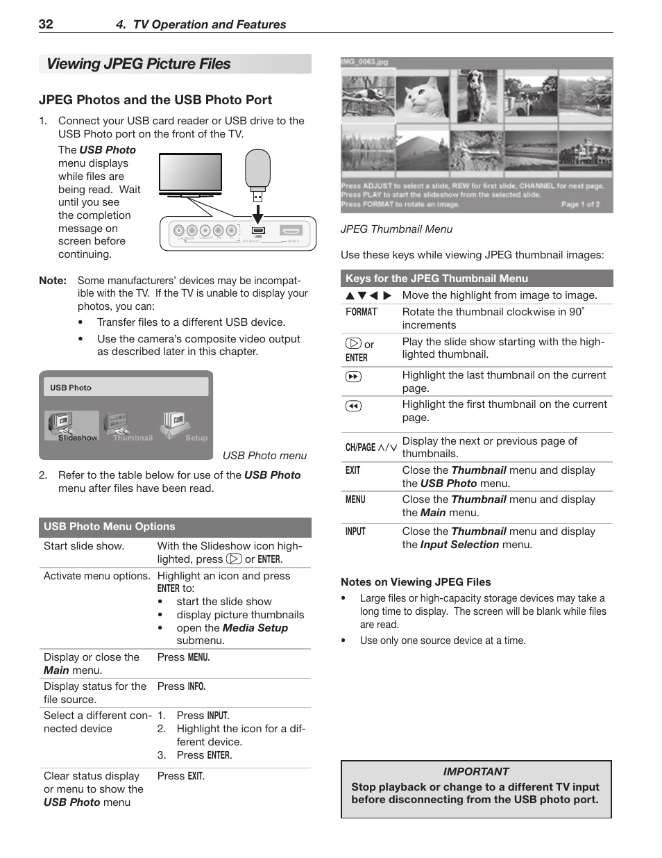 Viewing jpeg picture files, Jpeg photos and the usb photo port | Mitsumi electronic WD-Y577 User Manual | Page 32 / 84