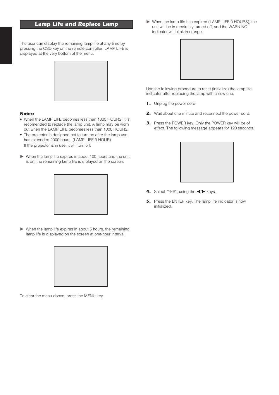 Lamp life and replace lamp | Marantz VP8100 User Manual | Page 19 / 24