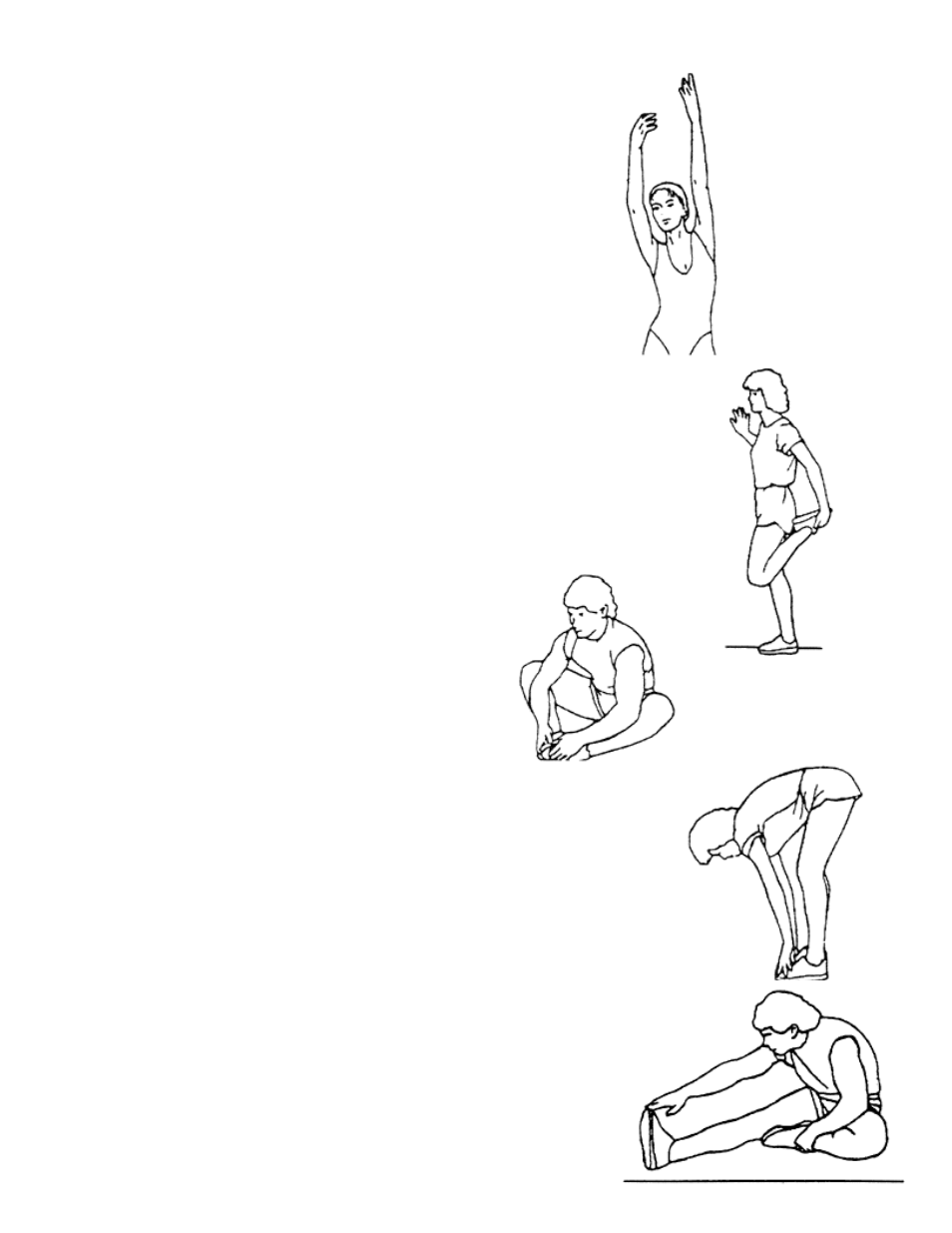 Side stretches, Quadriceps stretch, Inner thigh stretch | Toe touches, Hamstring stretches | Impex MS-93 User Manual | Page 13 / 15