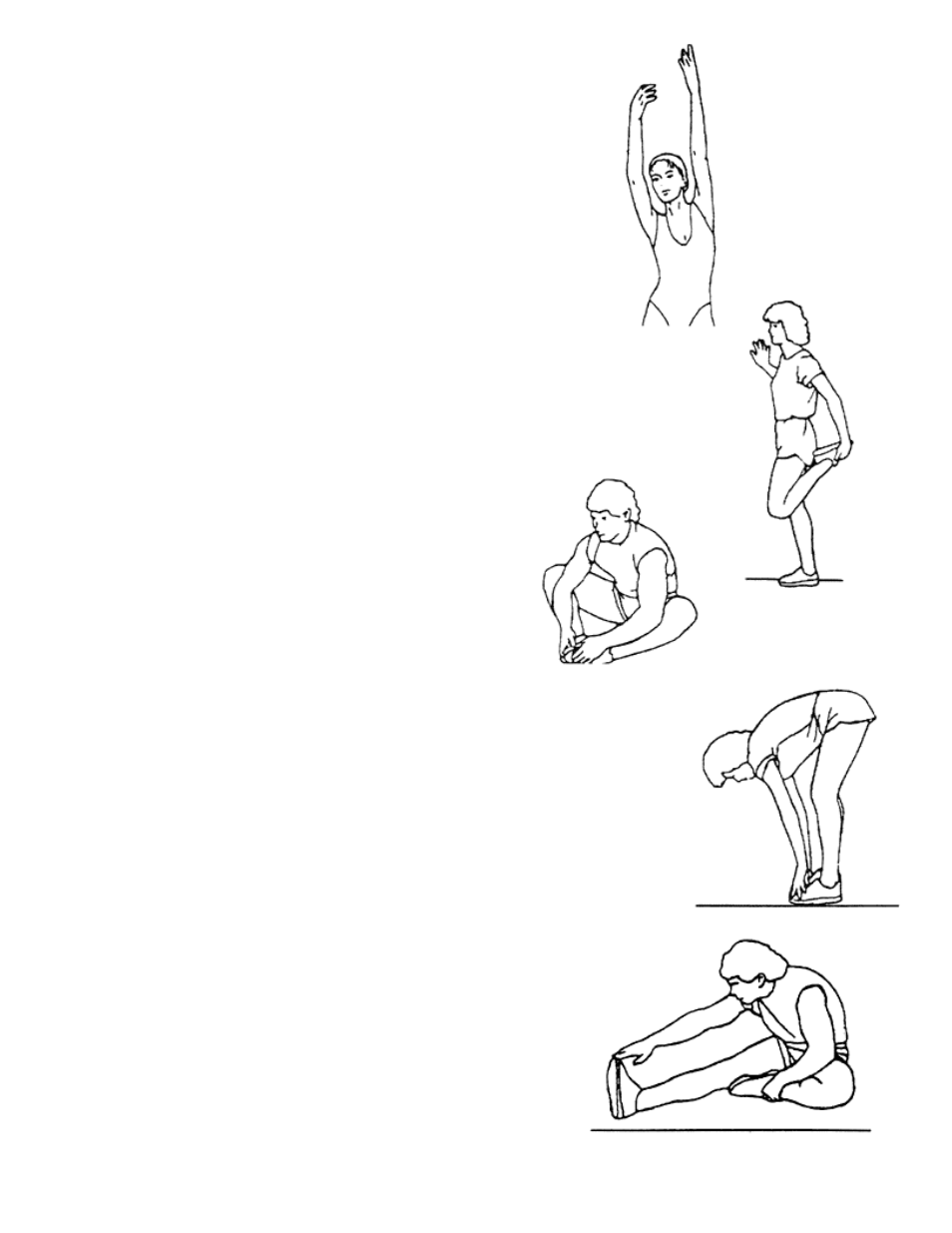 Side stretches, Inner thigh stretch, Toe touches | Hamstring stretches | Impex pl2009 User Manual | Page 14 / 17