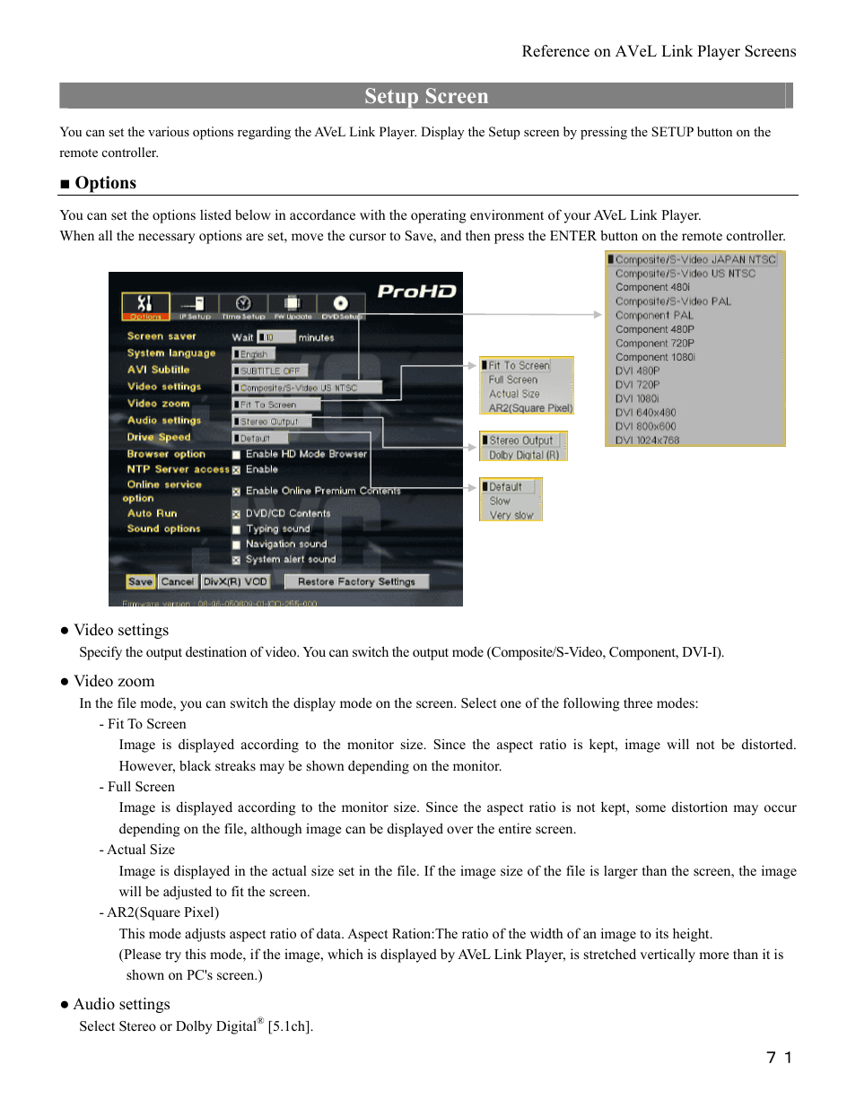 Setup screen, Options | I-O Display Systems SRDVD-100U User Manual | Page 73 / 84