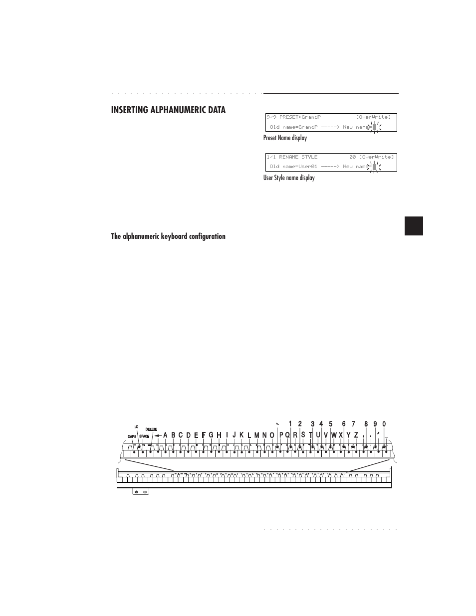 Basic concepts 3•15, Inserting alphanumeric data | IBM PS1500 User Manual | Page 63 / 112