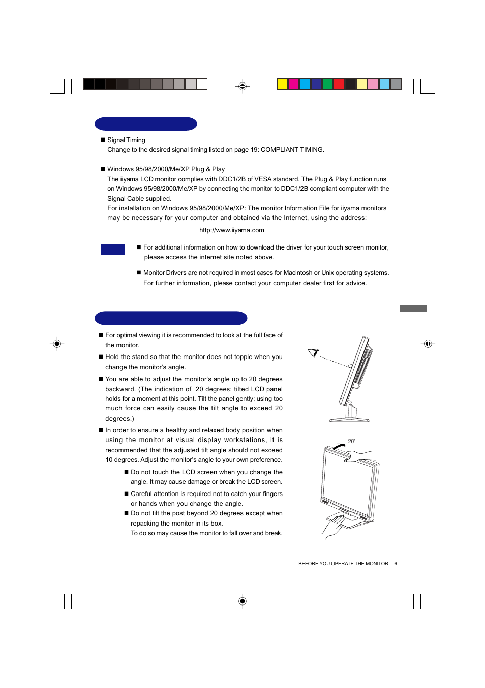 Computer setting adjusting the viewing angle | Iiyama Prolite E4835 User Manual | Page 11 / 25