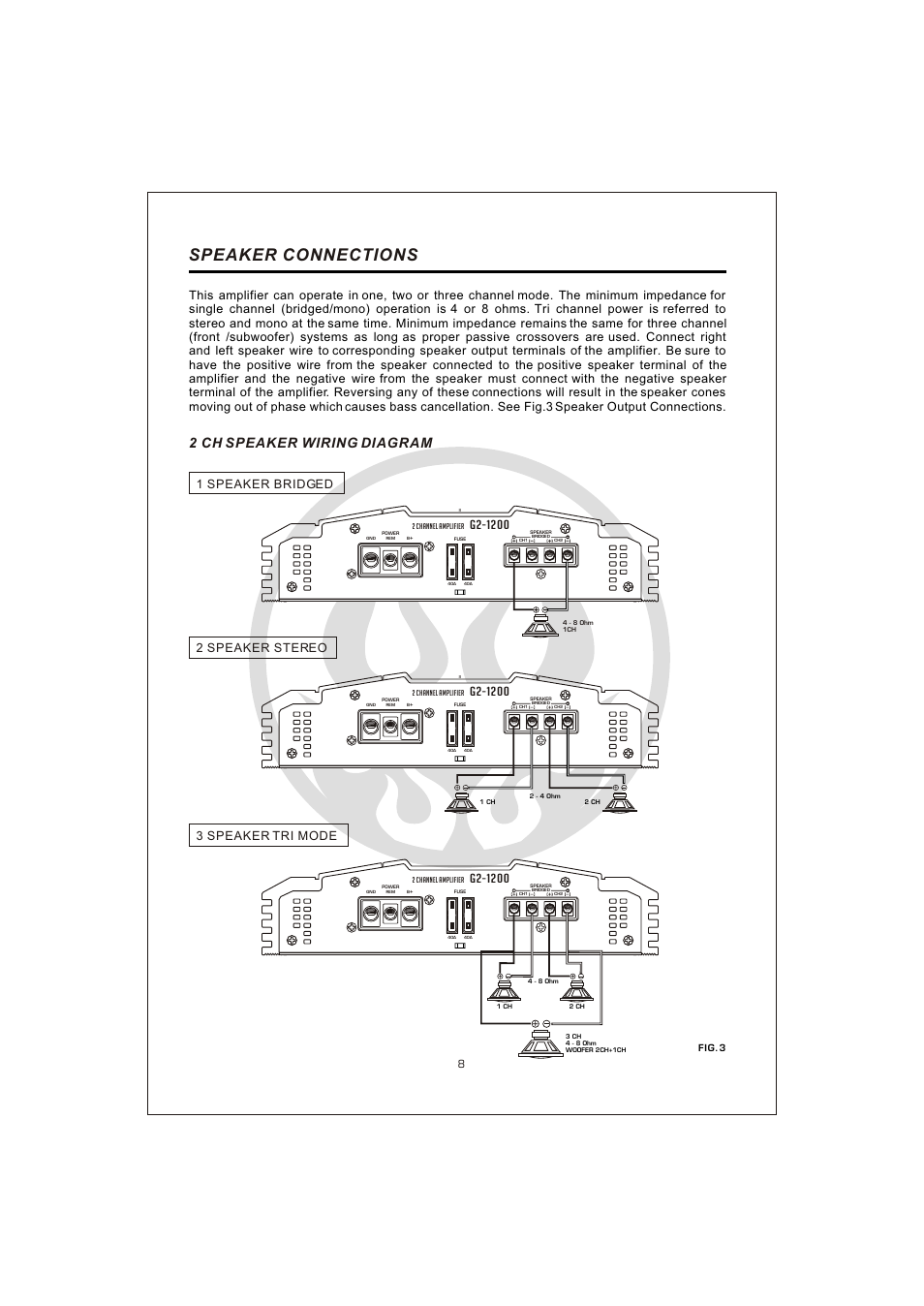 Вк 10, Speaker connections, 2 ch speaker wiring diagram | Interfire Audio G2-800 User Manual | Page 10 / 20