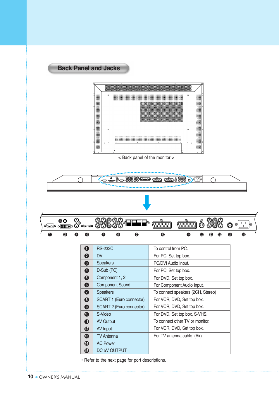 Viewing the connecting panel, Back panel and jacks | InFocus TD40 PAL User Manual | Page 11 / 55