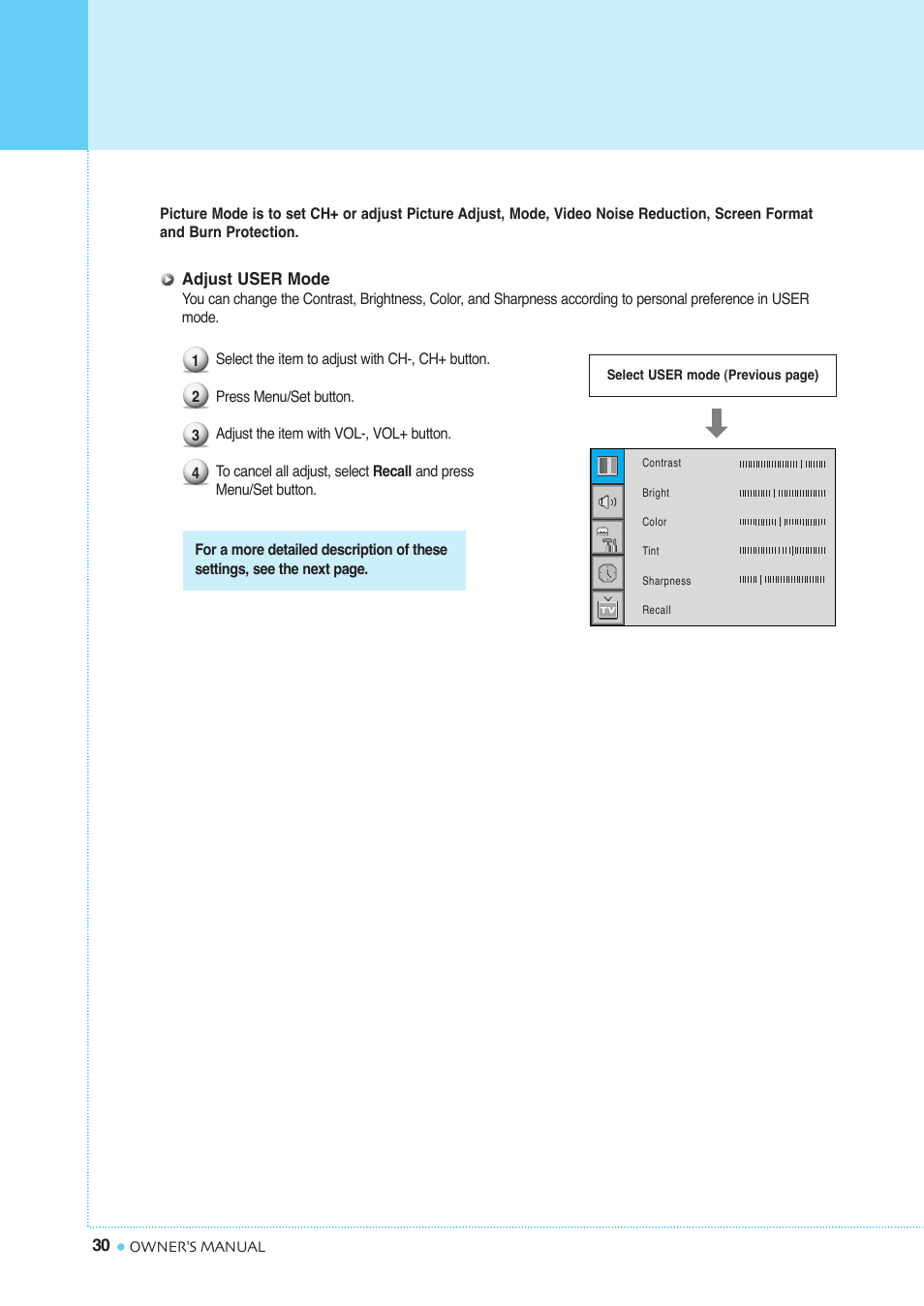 Setting the picture | InFocus TD40 NTSC User Manual | Page 31 / 53