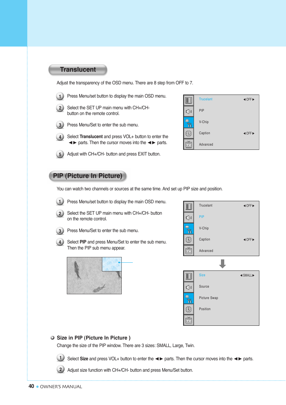 Setting the others, Pip (picture in picture), Translucent | InFocus TD40 NTSC User Manual | Page 41 / 53