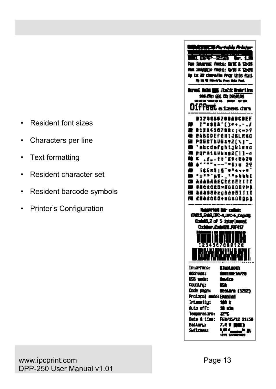 Self-test | Infinite Peripherals DPP-250 User Manual | Page 13 / 29