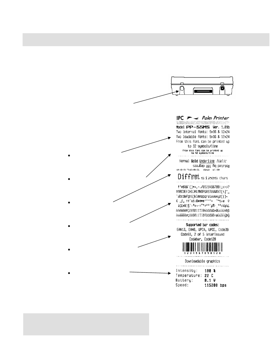 Running self-test | Infinite Peripherals PP-55 User Manual | Page 10 / 26
