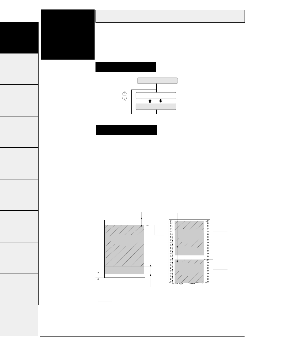 Bottom margin, Function | Seiko FB-900 User Manual | Page 73 / 243
