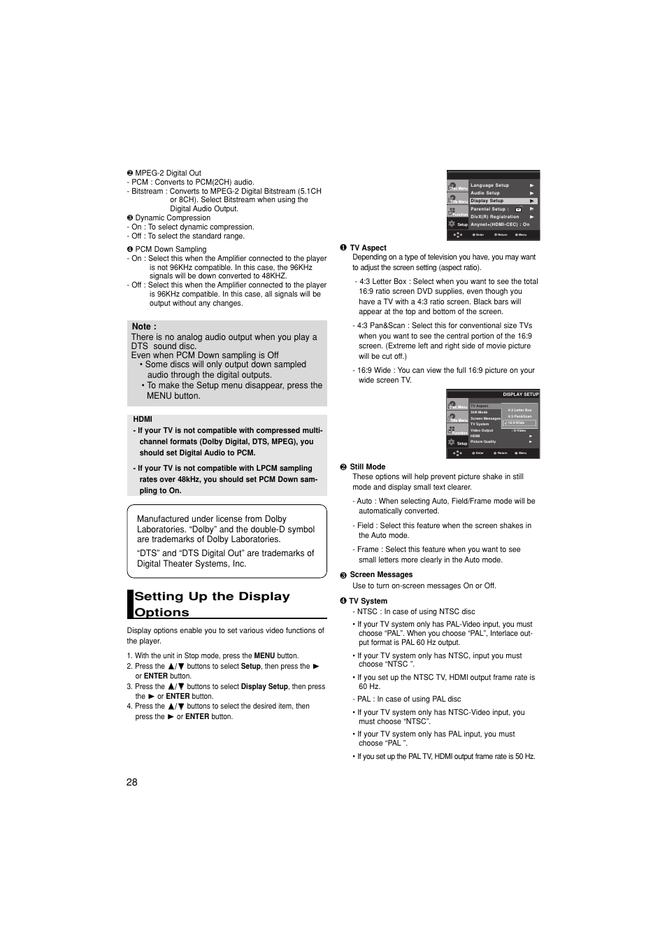 Setting up the displayoptions, Setting up the display options | Samsung 1080P7 User Manual | Page 28 / 36
