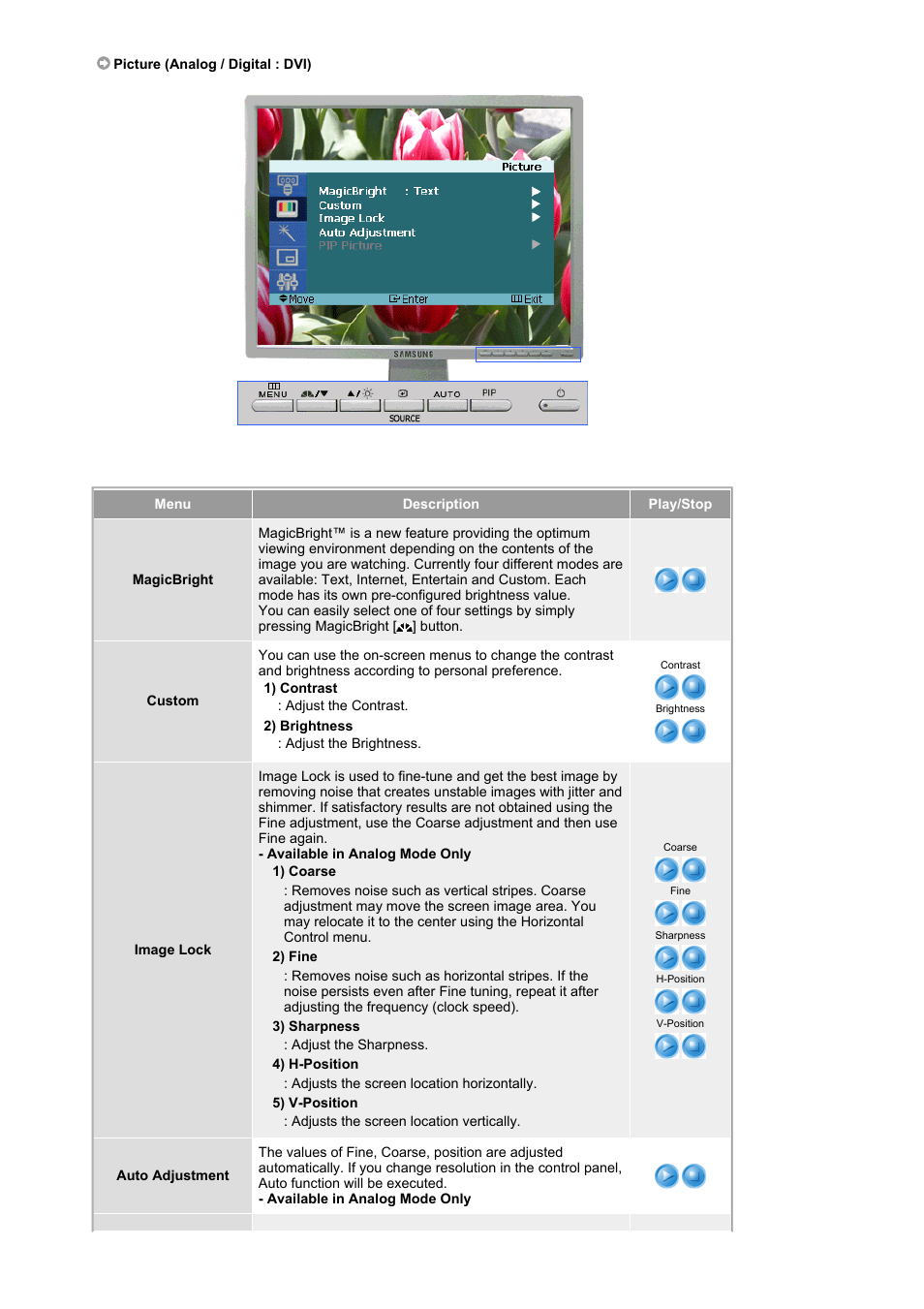 Picture (analog / digital : dvi) | Samsung 204Ts User Manual | Page 30 / 76