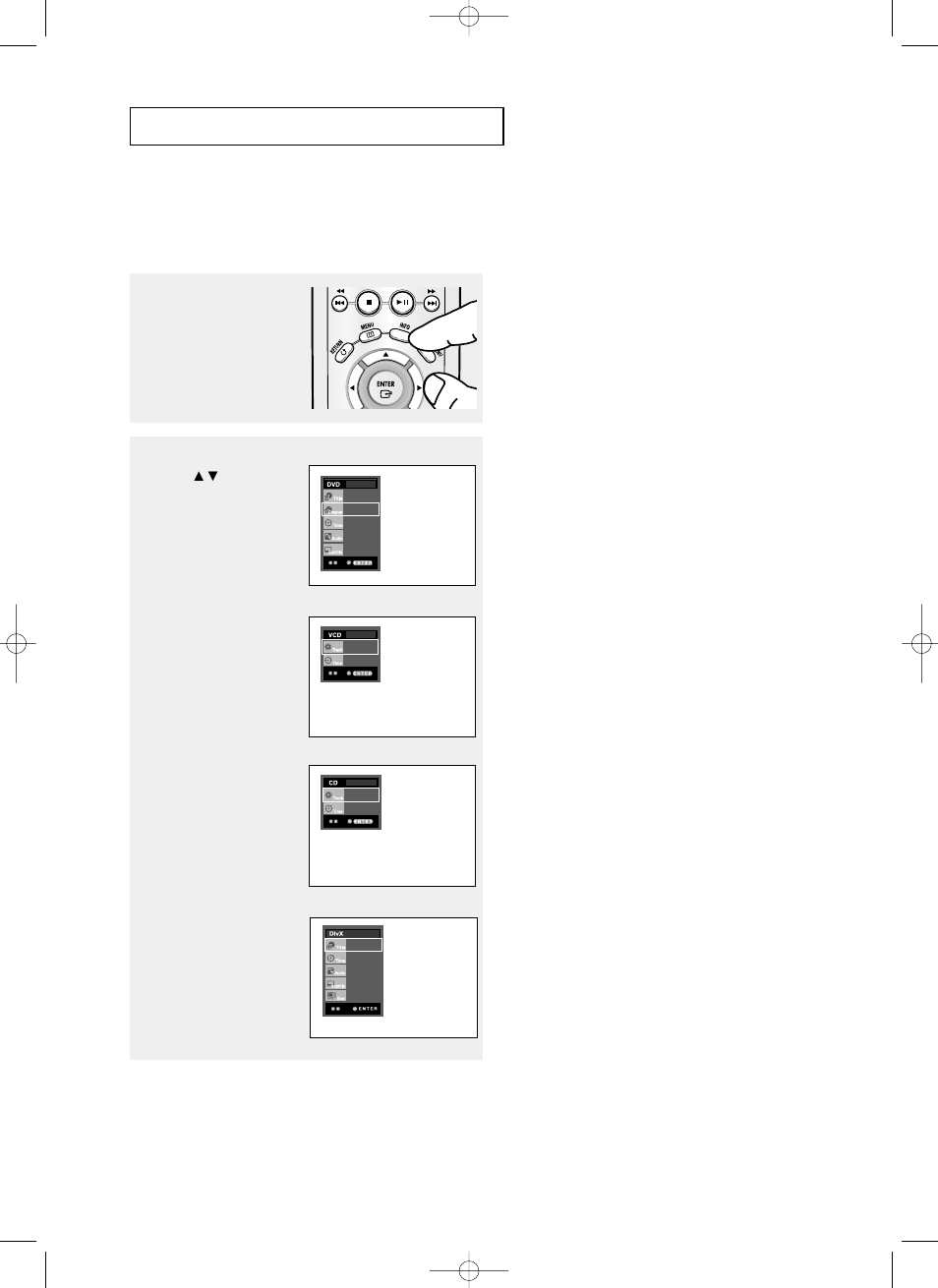 Using the display function | Samsung DVD-P355 User Manual | Page 20 / 246