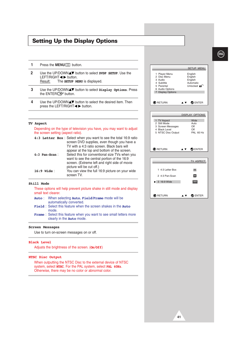 Setting up the display options | Samsung DS-21G5 User Manual | Page 41 / 48