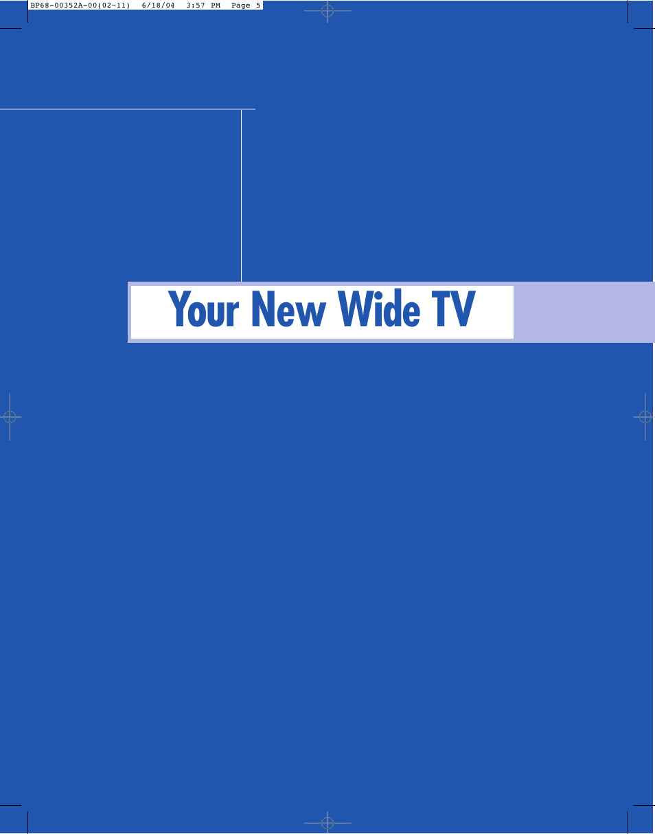Your new wide tv | Samsung HL-P5085W User Manual | Page 5 / 91