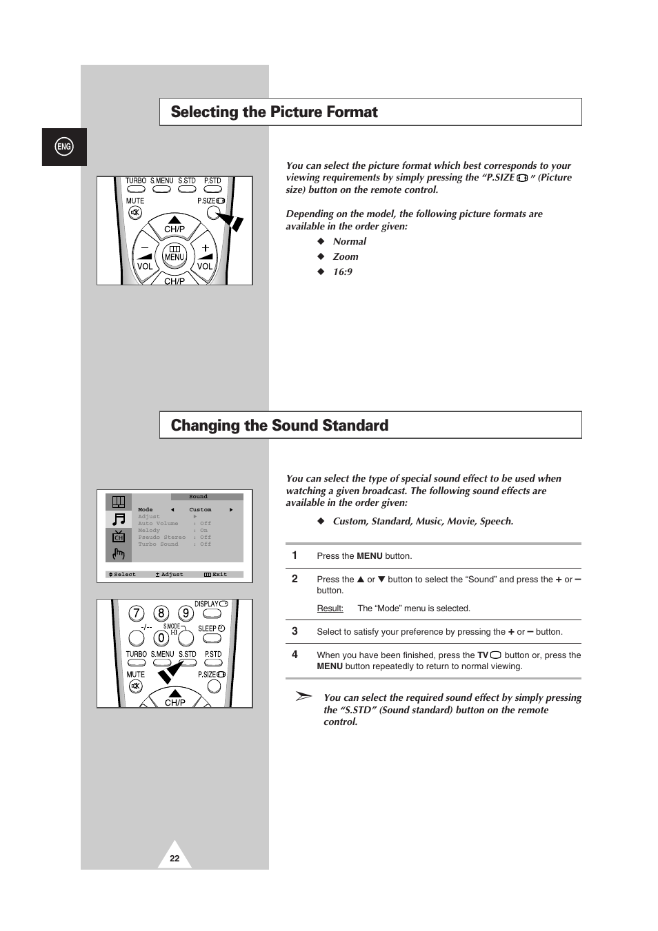Changing the sound standard, Selecting the picture format | Samsung CS-29V5MH User Manual | Page 22 / 36