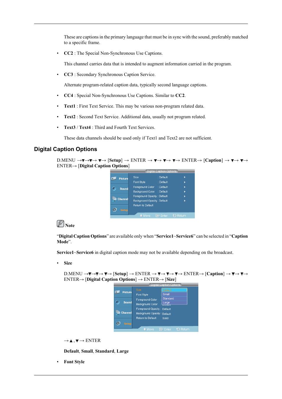 Digital caption options | Samsung SBB-DT User Manual | Page 13 / 16