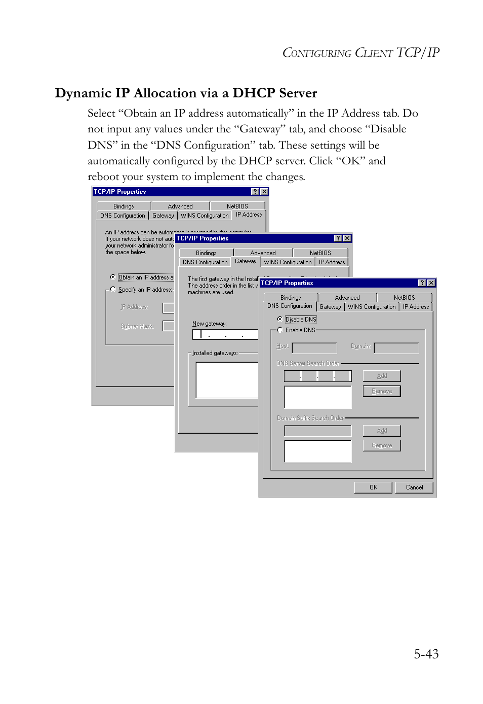 Dynamic ip allocation via a dhcp server, Dynamic ip allocation via a dhcp server -43 | SMC Networks SMC Barricade Plus SMC7004WFW User Manual | Page 125 / 146
