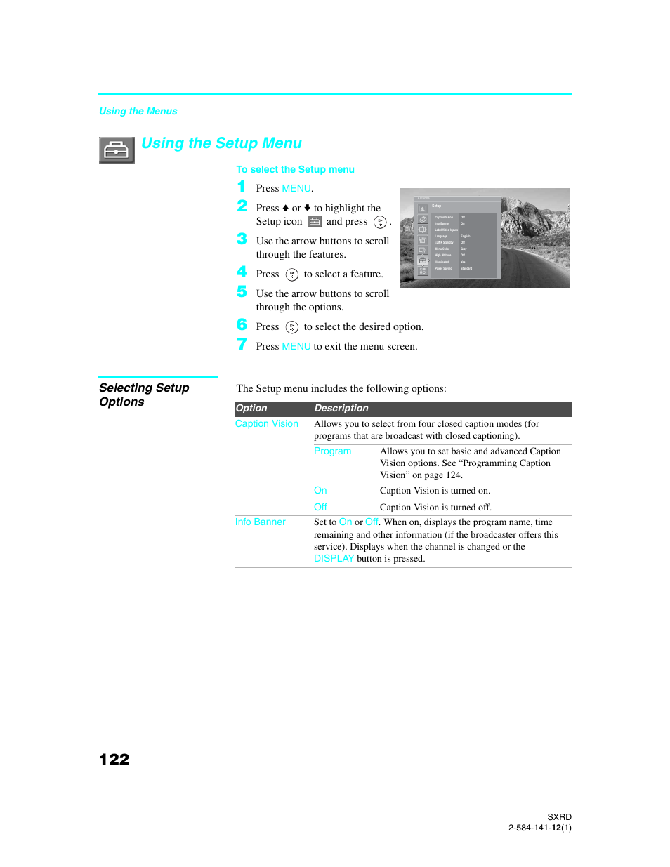 Using the setup menu, Selecting setup options | Sony Qualia 006 User Manual | Page 124 / 147