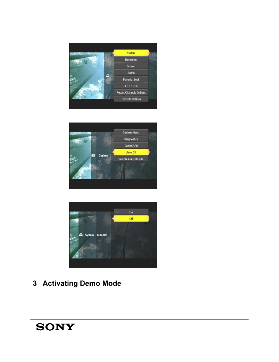 3 activating demo mode | Sony DHG-HDD250 User Manual | Page 6 / 8