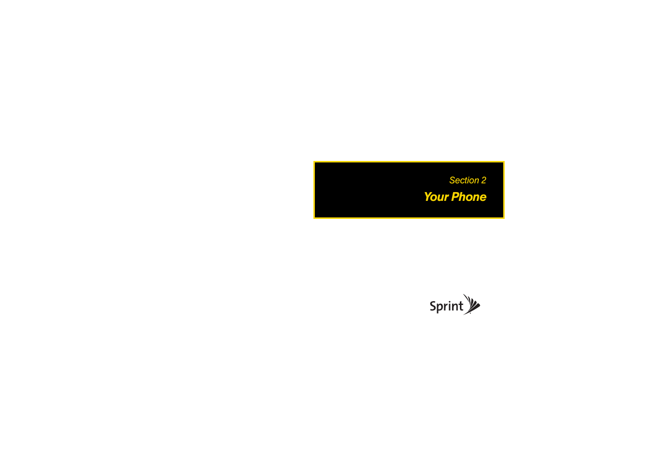 Your phone, Section 2: your phone | Sony SCP-3810 User Manual | Page 19 / 160