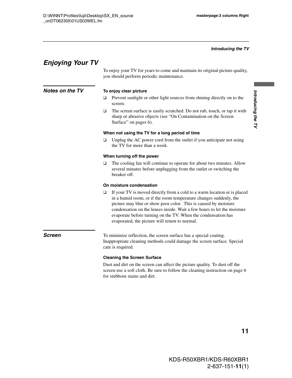 Enjoying your tv, Notes on the tv, Screen | Notes on the tv screen | Sony KDS-R50XBR1 User Manual | Page 11 / 120