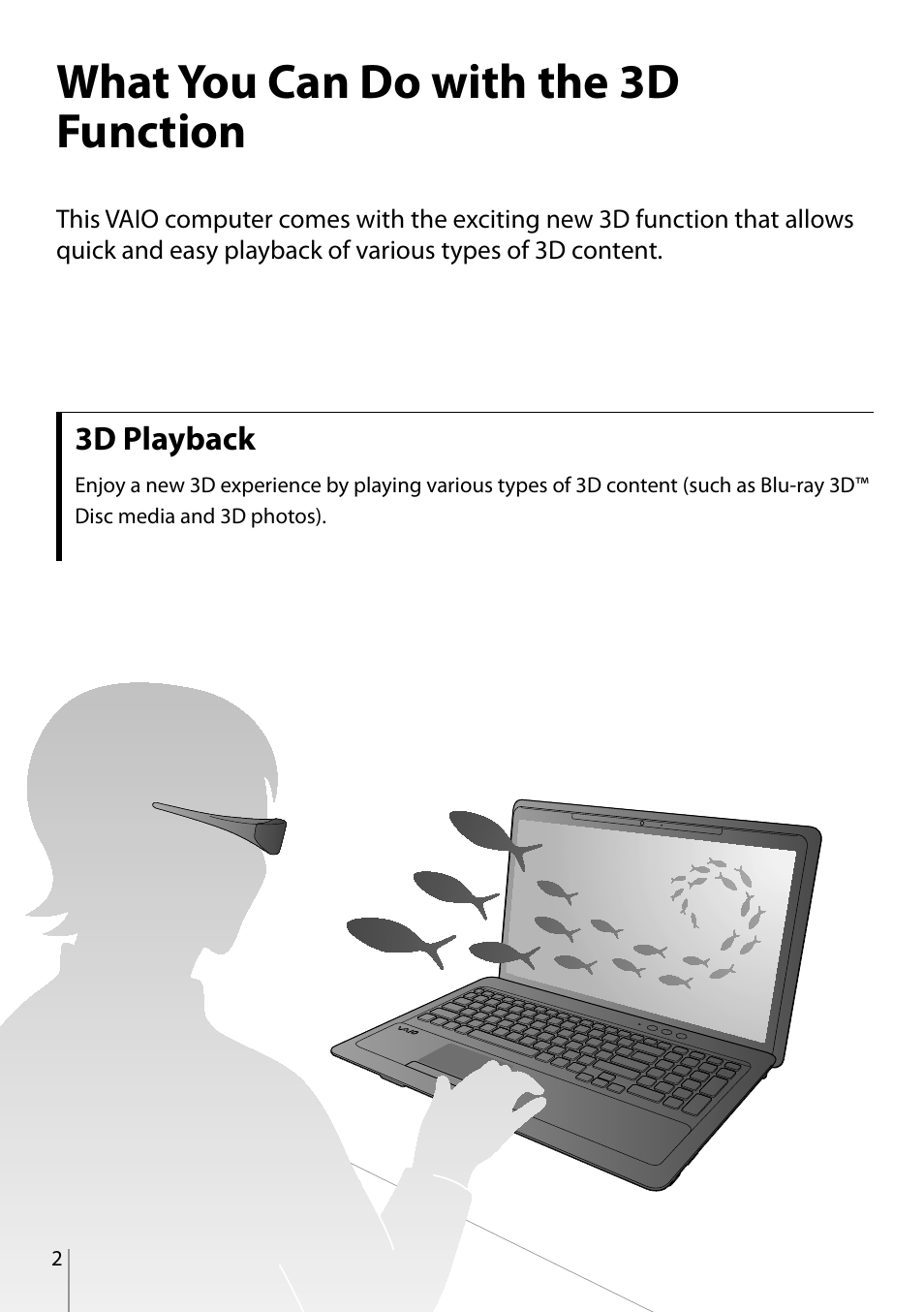 What you can do with the 3d function | Sony MOTHERBOARD A8V-VM SE User Manual | Page 2 / 16