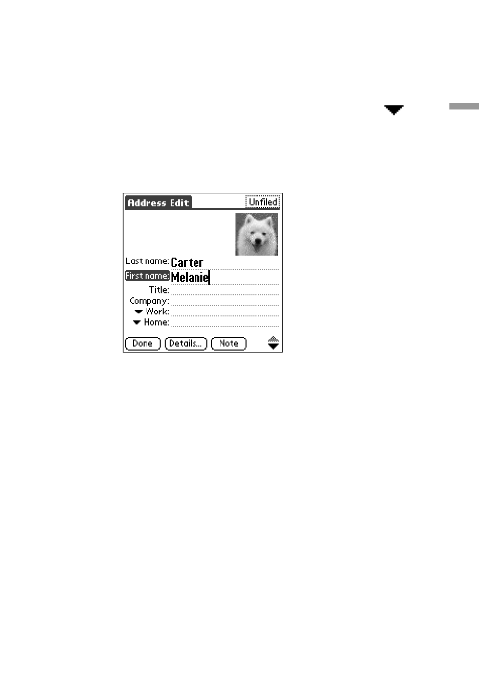 Sony PEG-S300 User Manual | Page 49 / 192