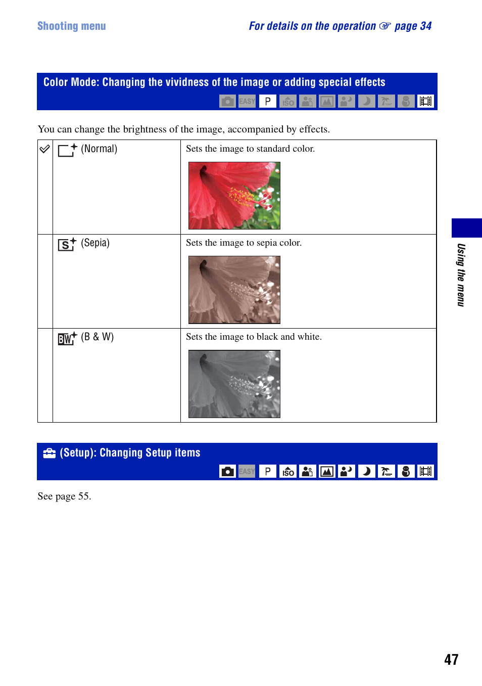 Setup): changing setup items | Sony Cyber-shot 4-121-439-11(1) User Manual | Page 47 / 107