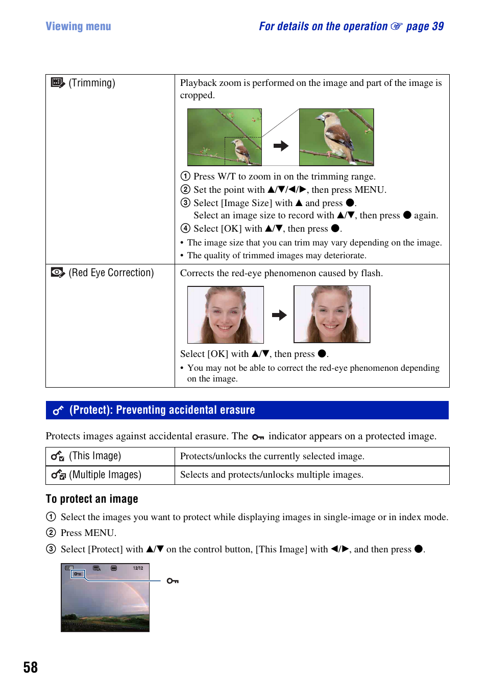 Protect): preventing accidental erasure | Sony Cyber-shot DSC-H10 User Manual | Page 58 / 123