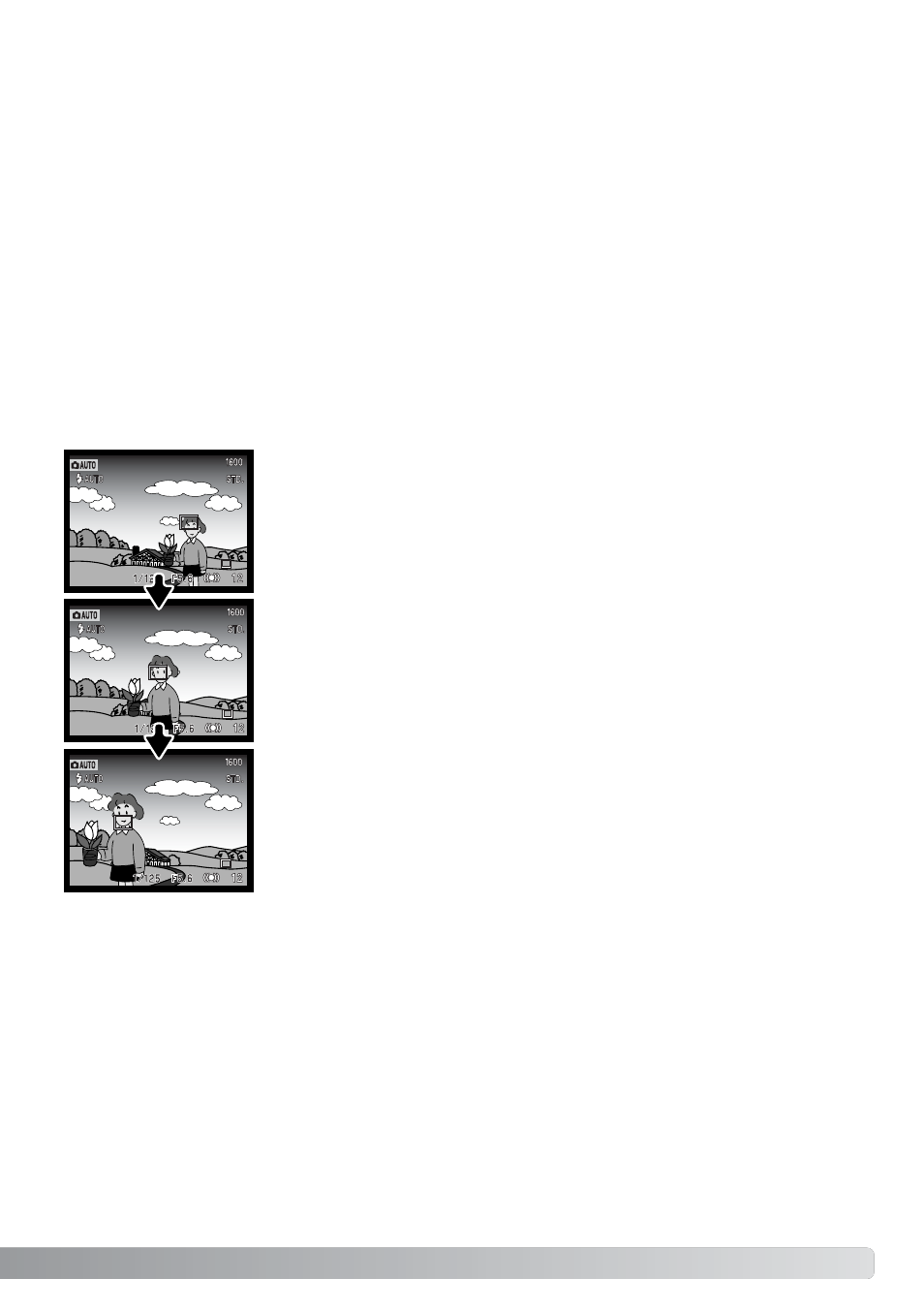 Focus modes, Single-shot af subject tracking af, Focus modes single-shot af subject tracking af | Konica Minolta DiMAGE F200 User Manual | Page 65 / 132