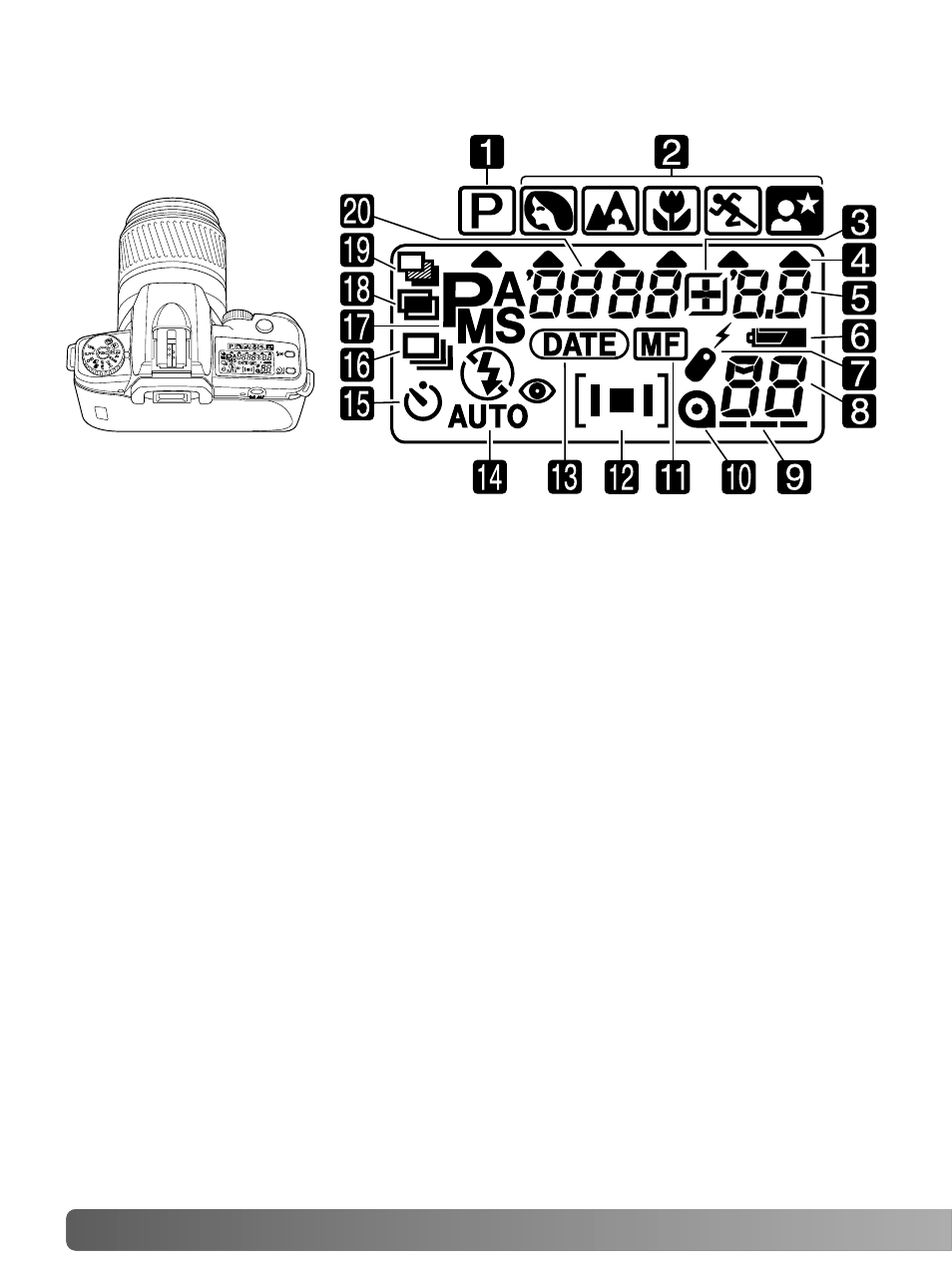Data panel | Konica Minolta MAXXUM 50 User Manual | Page 10 / 64