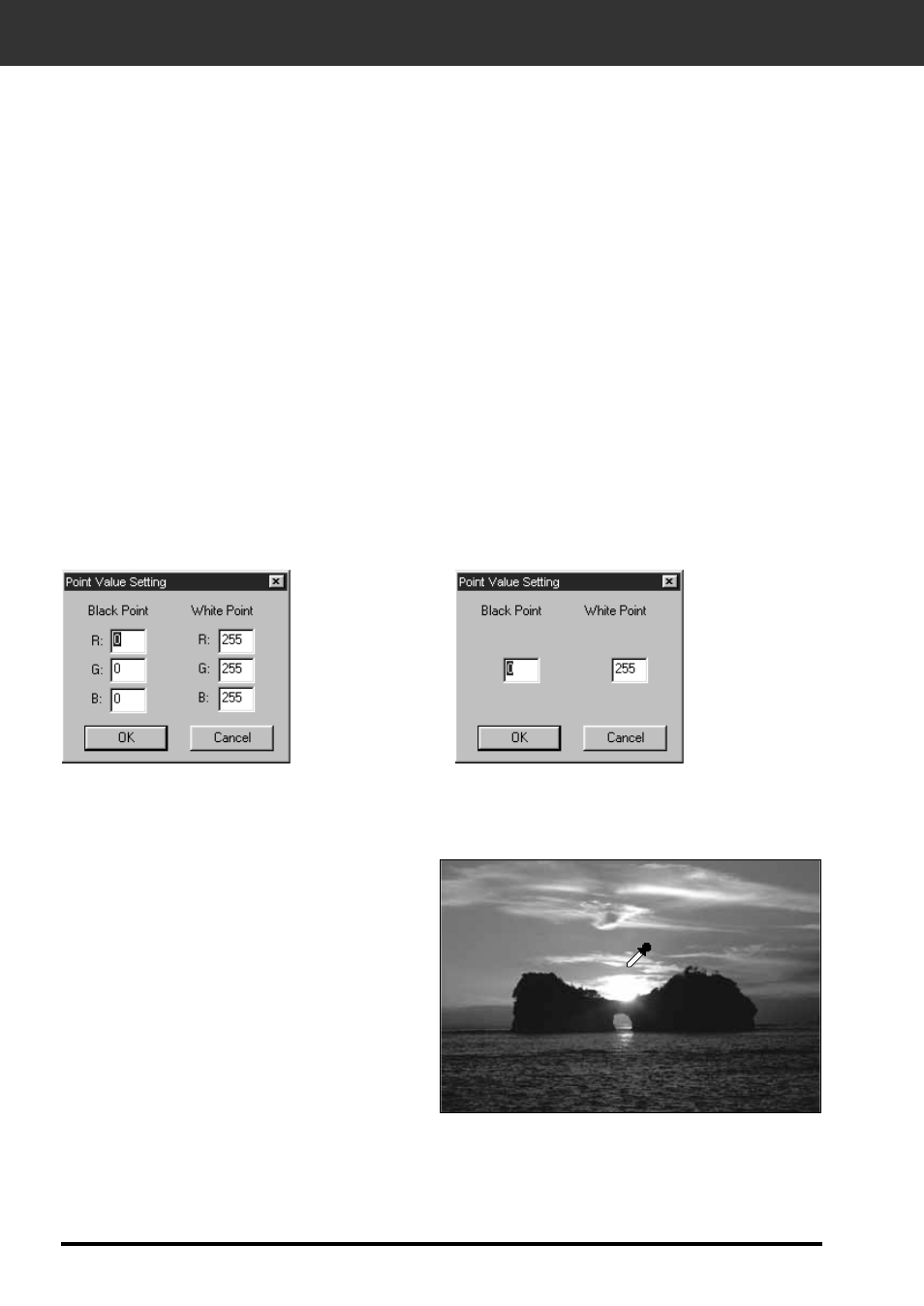 Point, Setting the white or black points | Konica Minolta F-2900 User Manual | Page 40 / 85