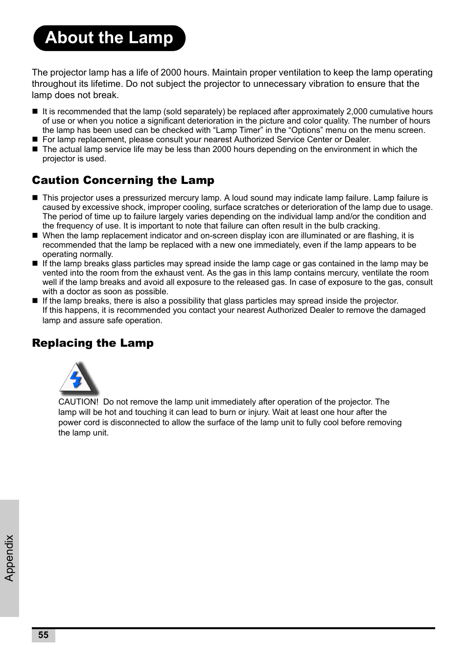 About the lamp, Caution concerning the lamp, Replacing the lamp | Caution concerning the lamp replacing the lamp, Appendix | Knoll Systems Front Projector 1080p DLP User Manual | Page 56 / 68