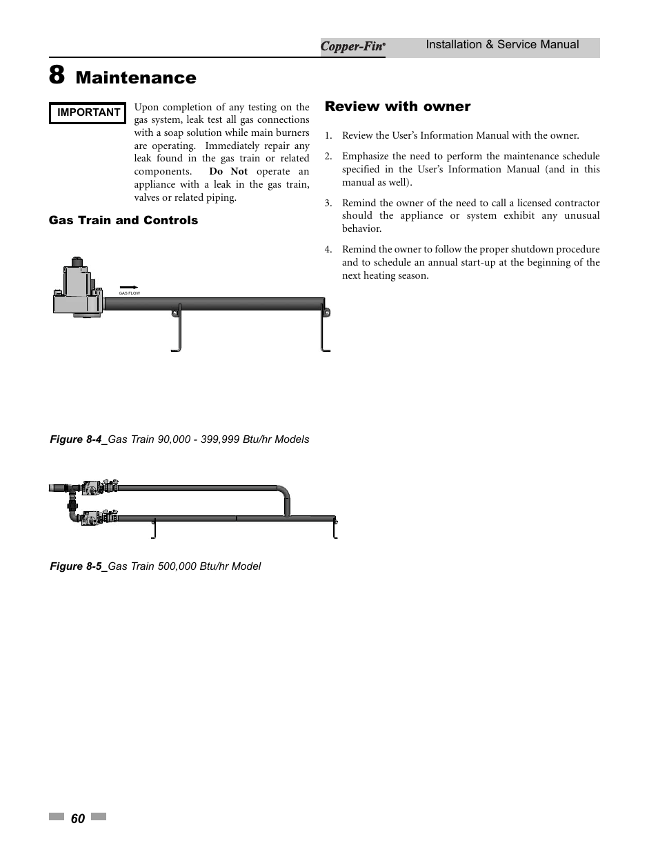 Maintenance | Lochinvar 000 - 500 User Manual | Page 60 / 68