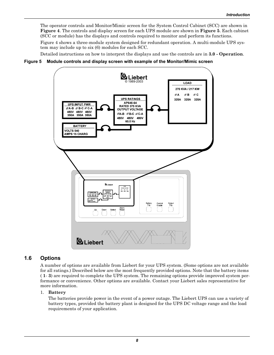 6 options, Options, Figure 5 | Liebert 1000kVA User Manual | Page 14 / 120