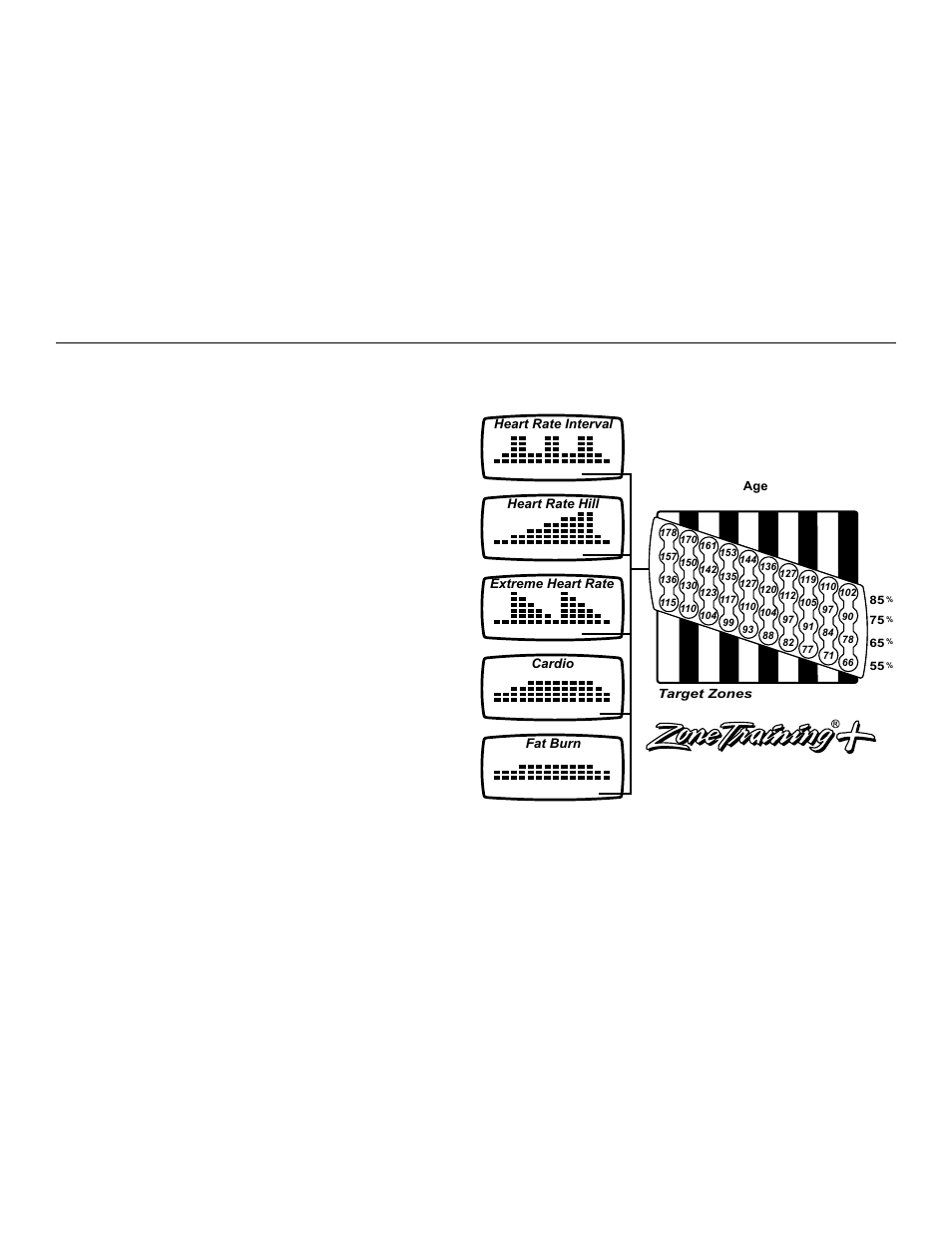 Heart rate zone training, Exercise, 1 why heart rate zone training exercise | Ccessories, Eading, Ccessory, Rays | Life Fitness x3i User Manual | Page 16 / 28