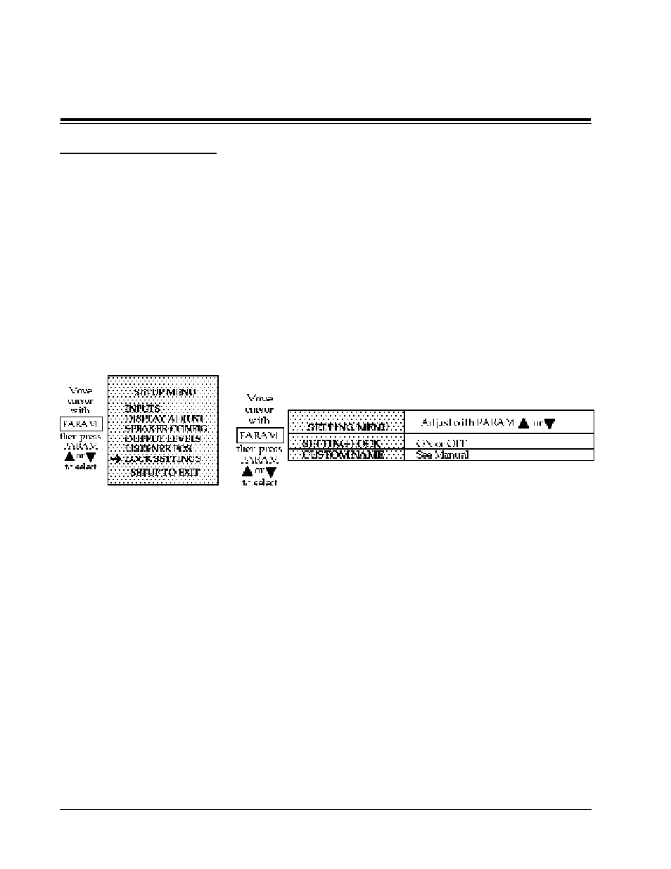 Customization, Customization locking in settings, Custom name | Lexicon CP-3 User Manual | Page 34 / 59