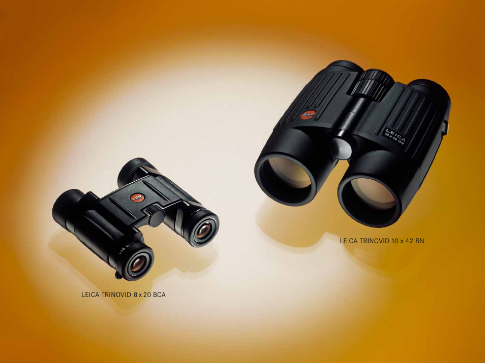 LEICA Geovid 10x42 BRF User Manual | Page 22 / 51
