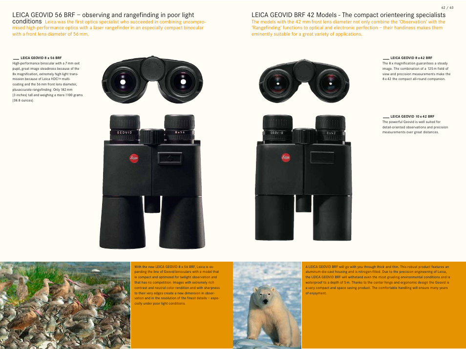 LEICA Geovid 10x42 BRF User Manual | Page 34 / 51